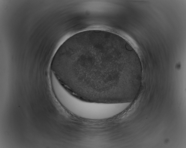 X0000102340907200808081128