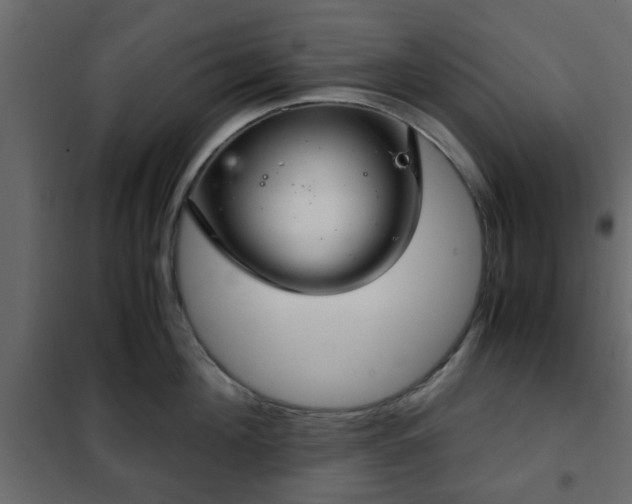 X0000102340908200808081128