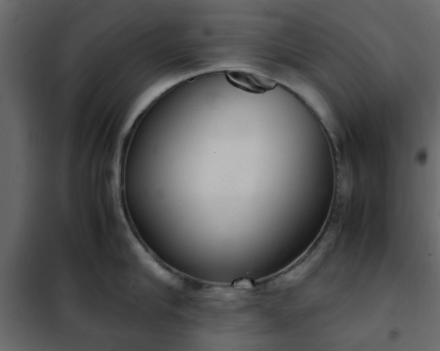 X0000102340910200808081128