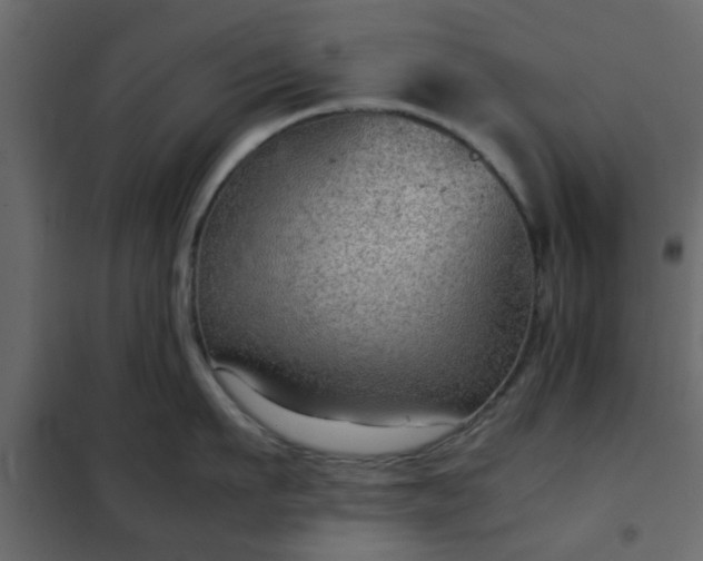 X0000102340911200808081128