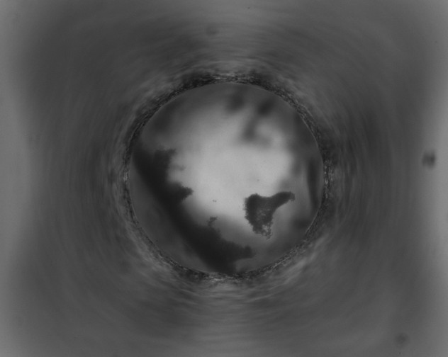 X0000102340913200808081127