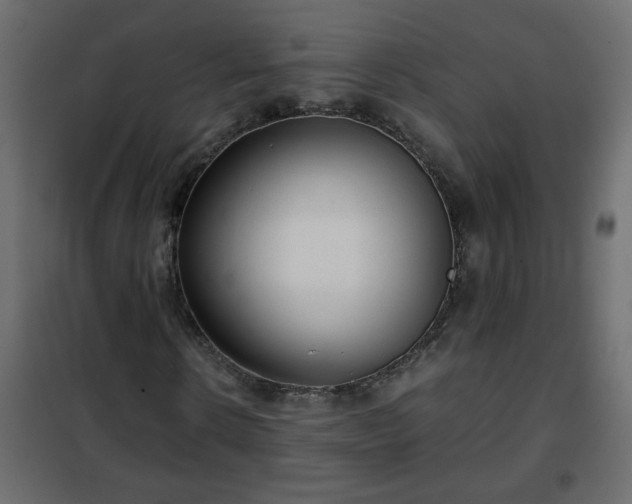 X0000102340914200808081127