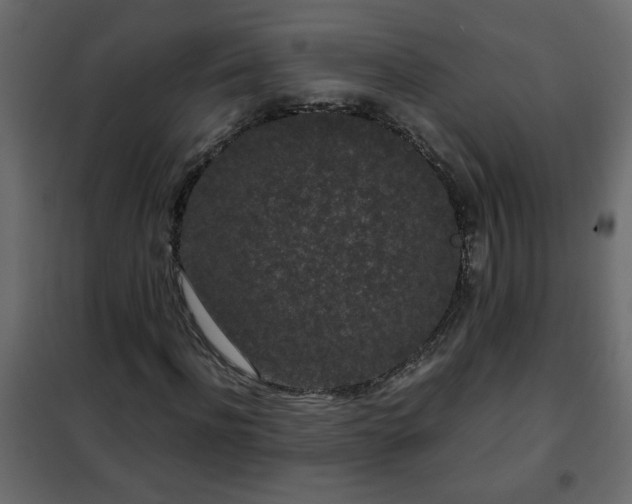 X0000102340916200808081127