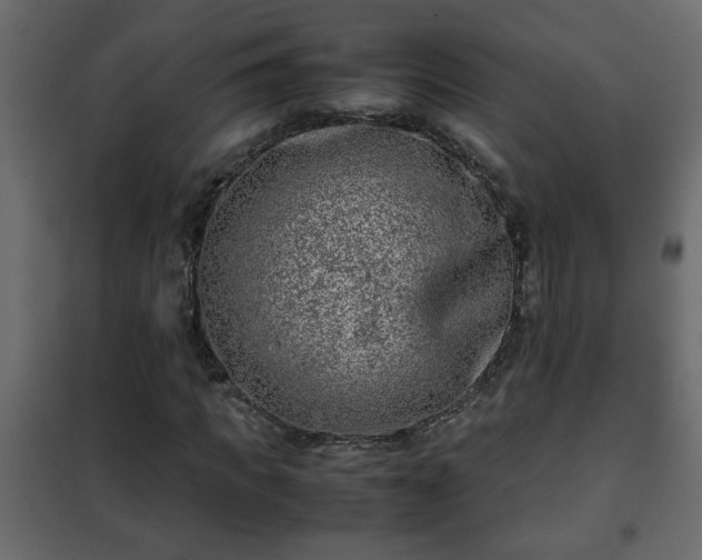 X0000102340917200808081127