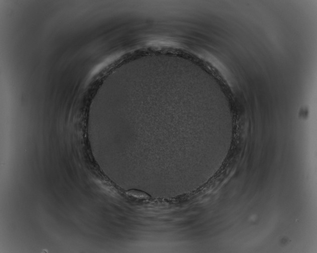 X0000102340919200808081127