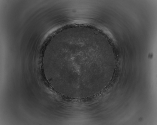 X0000102340920200808081127