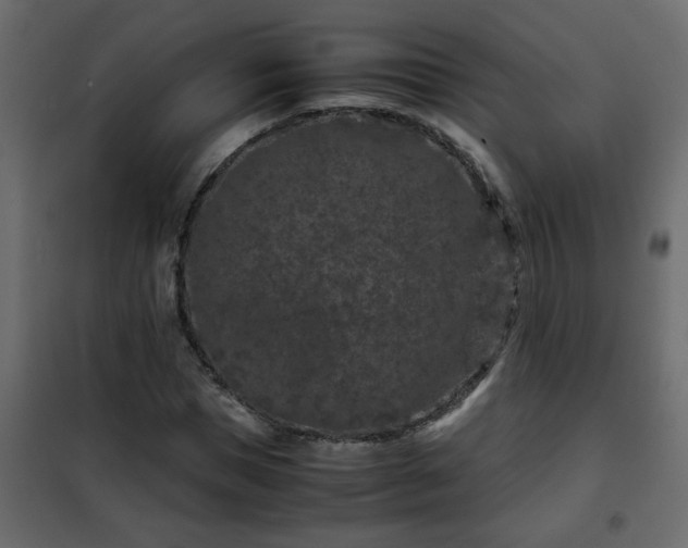 X0000102340921200808081127