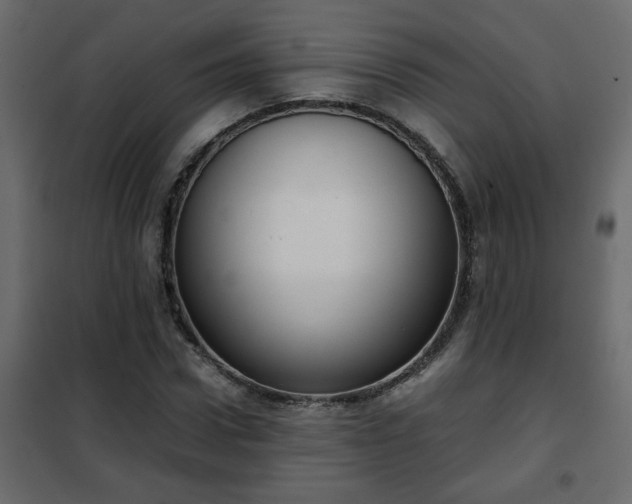 X0000102340922200808081127