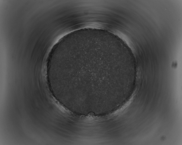 X0000102340923200808081127