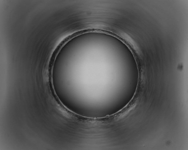 X0000102340924200808081127