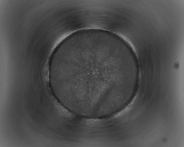 X0000102340925200808081127