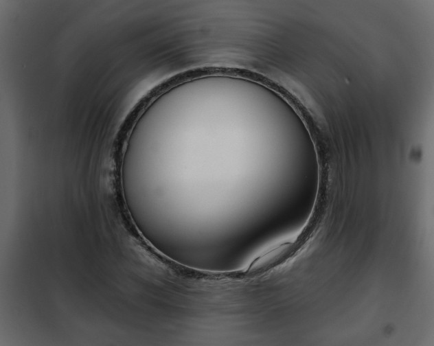 X0000102340926200808081127