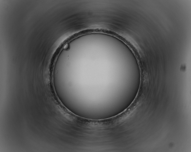 X0000102340927200808081127