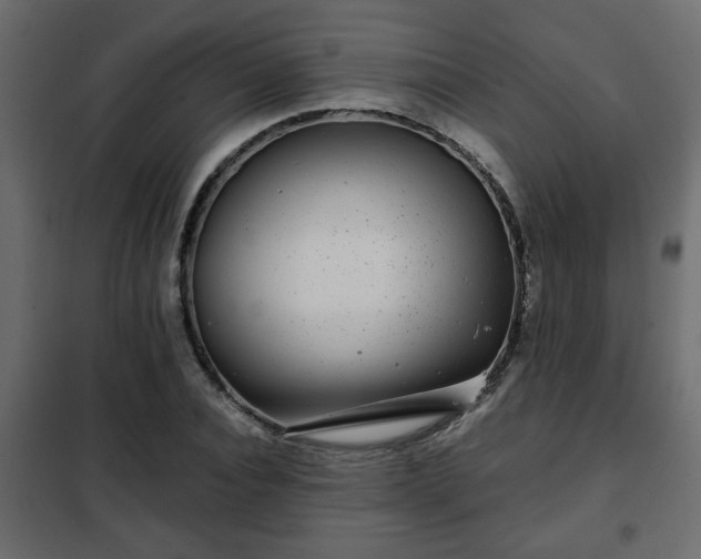 X0000102340928200808081127