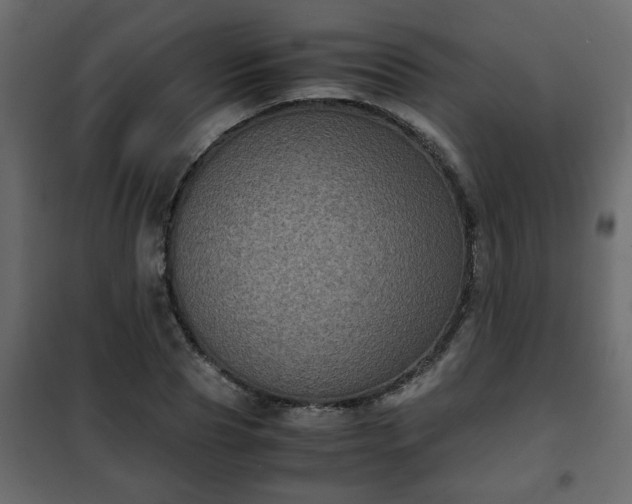 X0000102340929200808081127