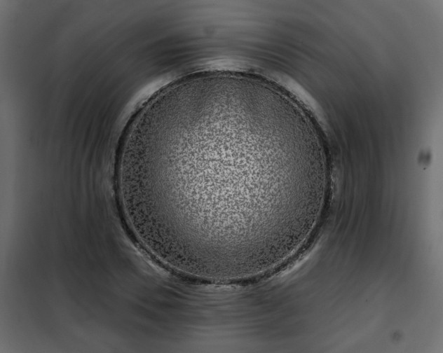 X0000102340930200808081127