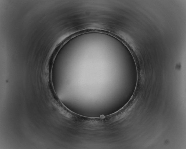 X0000102340931200808081127