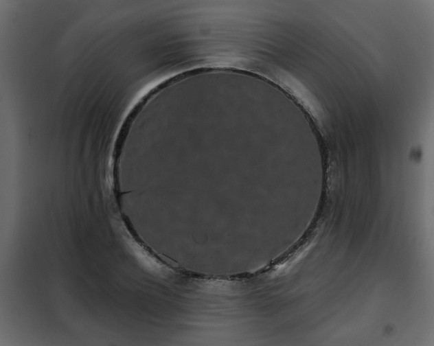 X0000102340932200808081127