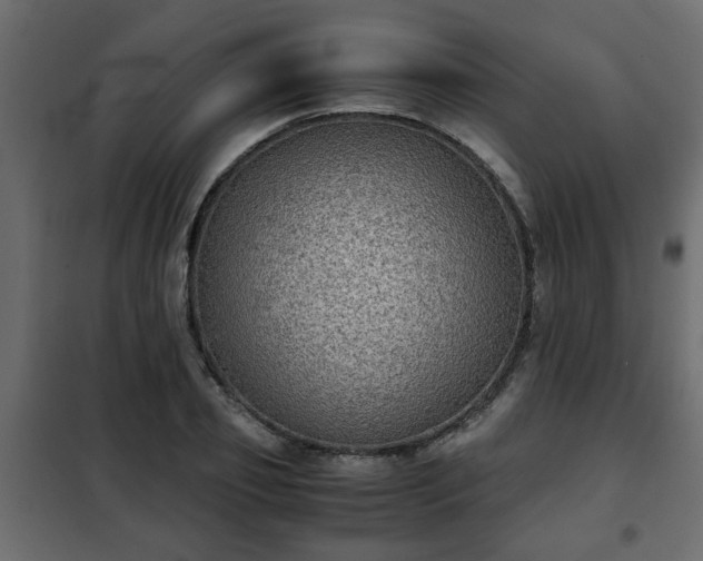 X0000102340933200808081127