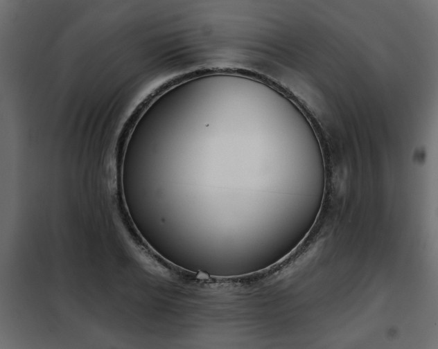 X0000102340934200808081127