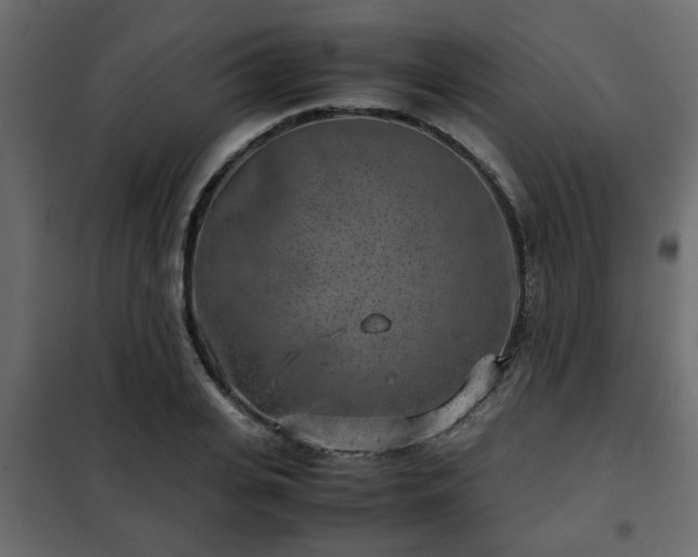 X0000102340935200808081127