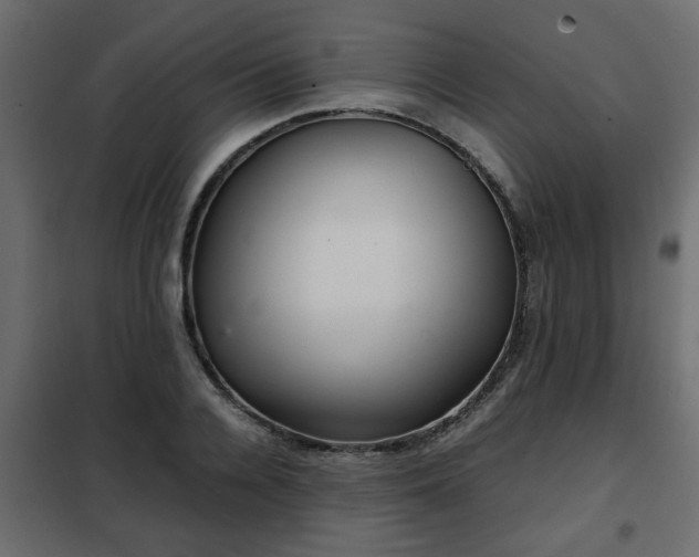 X0000102340936200808081127