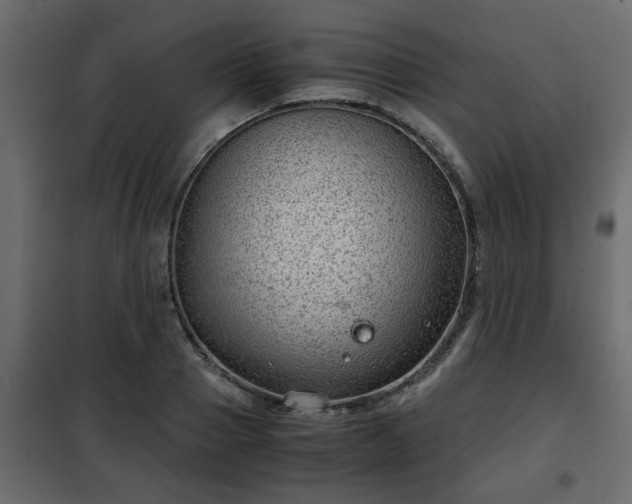 X0000102340937200808081127