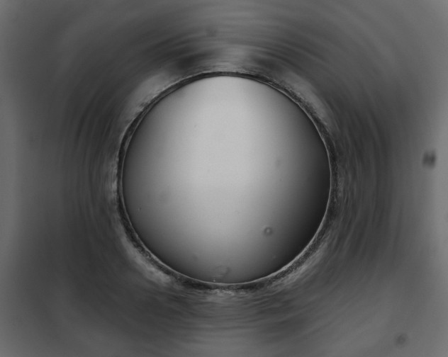 X0000102340938200808081127