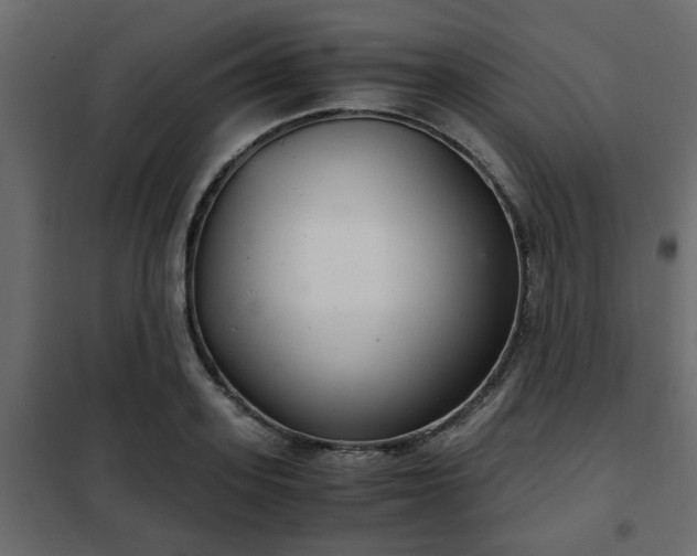 X0000102340939200808081127