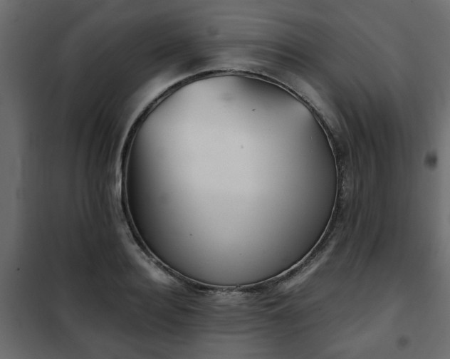 X0000102340940200808081127