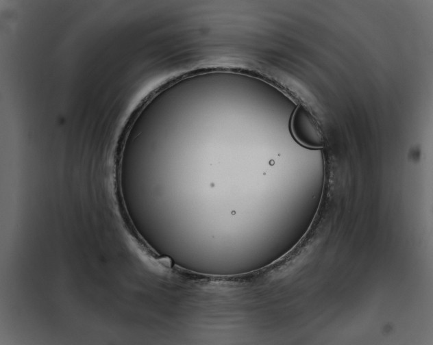 X0000102340942200808081127