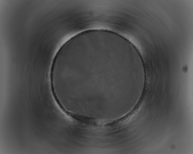 X0000102340943200808081127