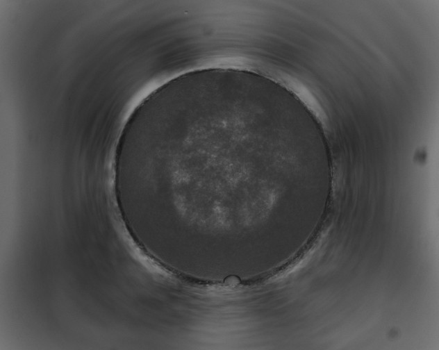 X0000102340944200808081127