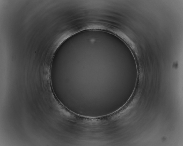 X0000102340945200808081127