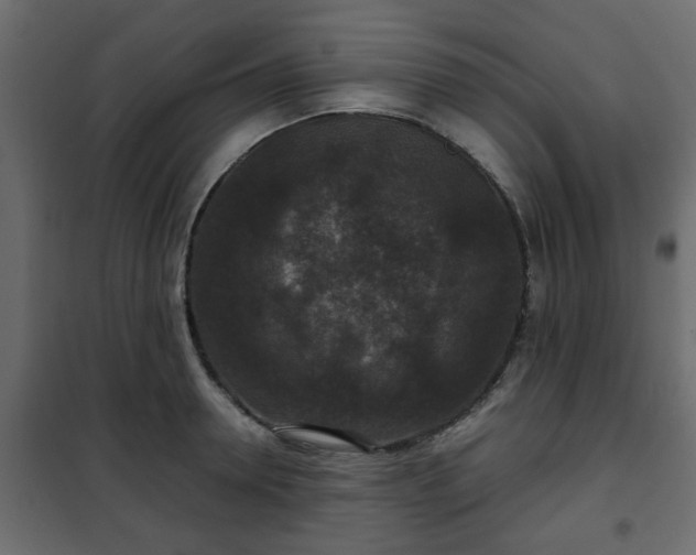 X0000102340946200808081127