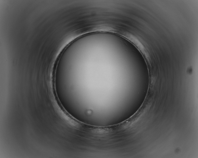 X0000102340947200808081127