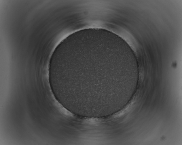 X0000102340950200808081127