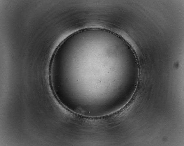 X0000102340951200808081127