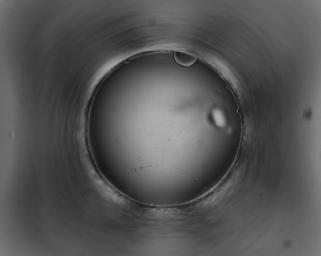 X0000102340952200808081127