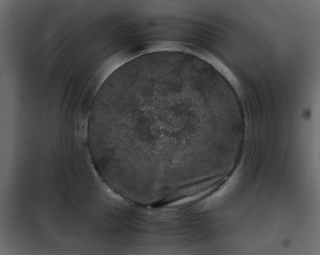 X0000102340953200808081128