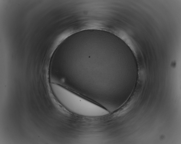 X0000102340954200808081128