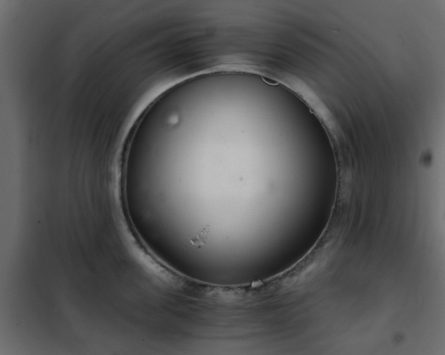 X0000102340955200808081128