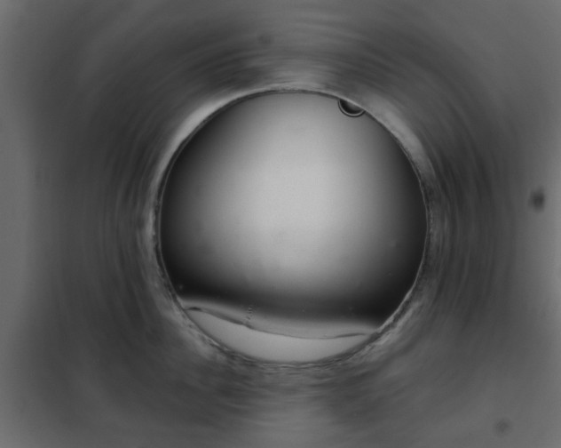 X0000102340956200808081128