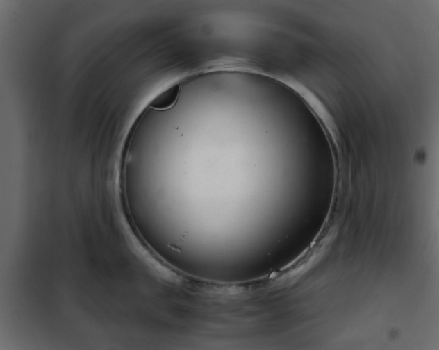 X0000102340957200808081128