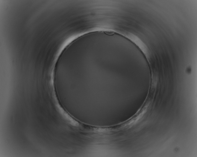 X0000102340958200808081128