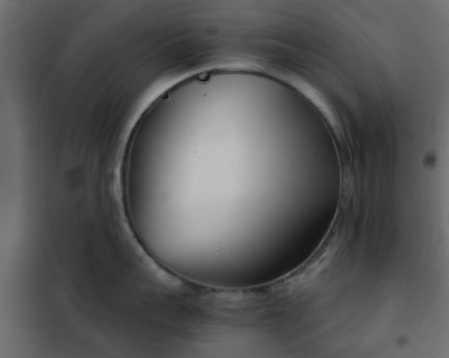 X0000102340959200808081128