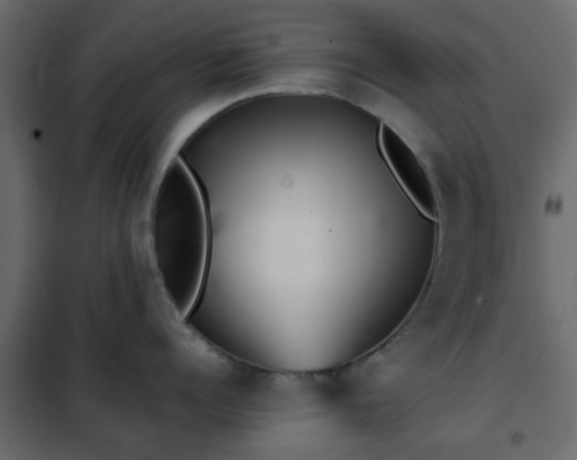 X0000102340960200808081128