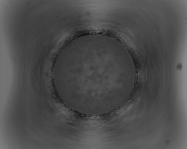 X0000102340961200808081127