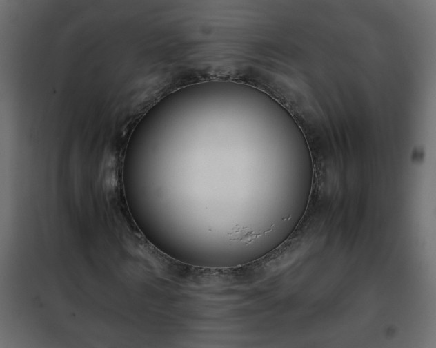 X0000102340962200808081127