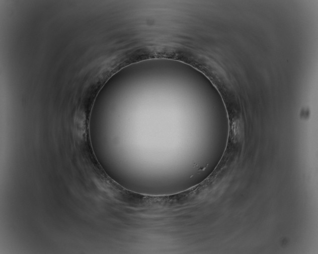 X0000102340963200808081127